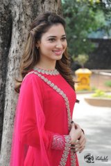Tamannah at Bengal Tiger Movie Press Meet